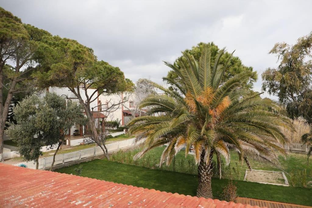 Yfn Urla Seaside House Villa Balikliova Eksteriør billede