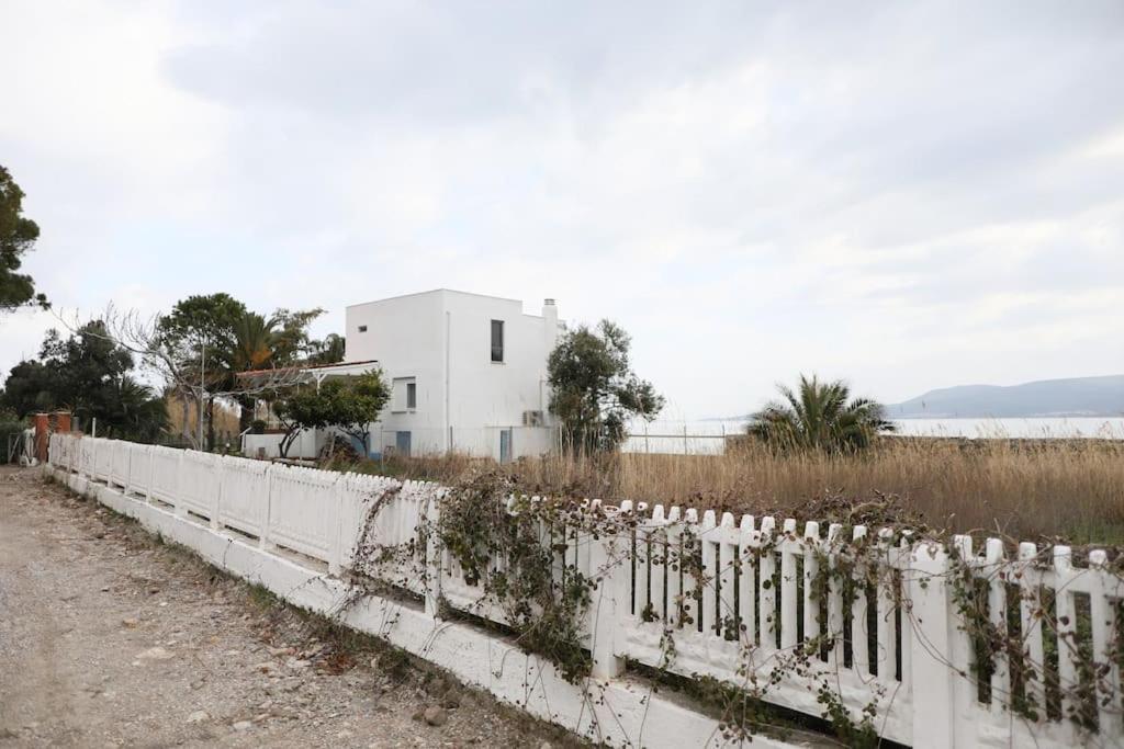 Yfn Urla Seaside House Villa Balikliova Eksteriør billede